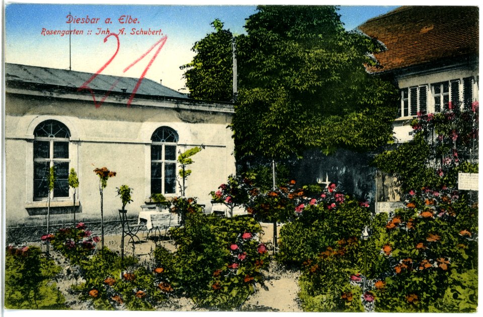 19198-Diesbar-1915-Rosengarten-Brück & Sohn Kunstverlag
