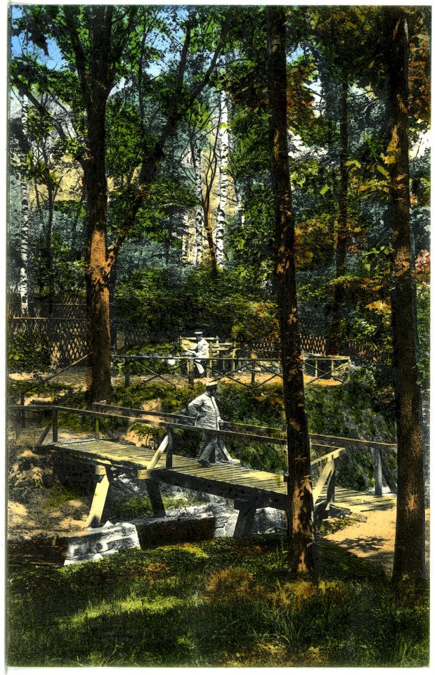 19129-Dresden-1915-Garnison-Lazarett (Reserve-Lazarett I)-Brück & Sohn Kunstverlag