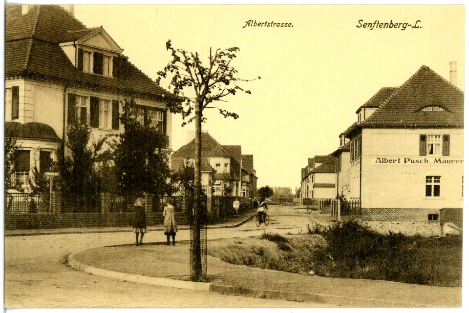 19759-Senftenberg-1915-Albertstraße-Brück & Sohn Kunstverlag