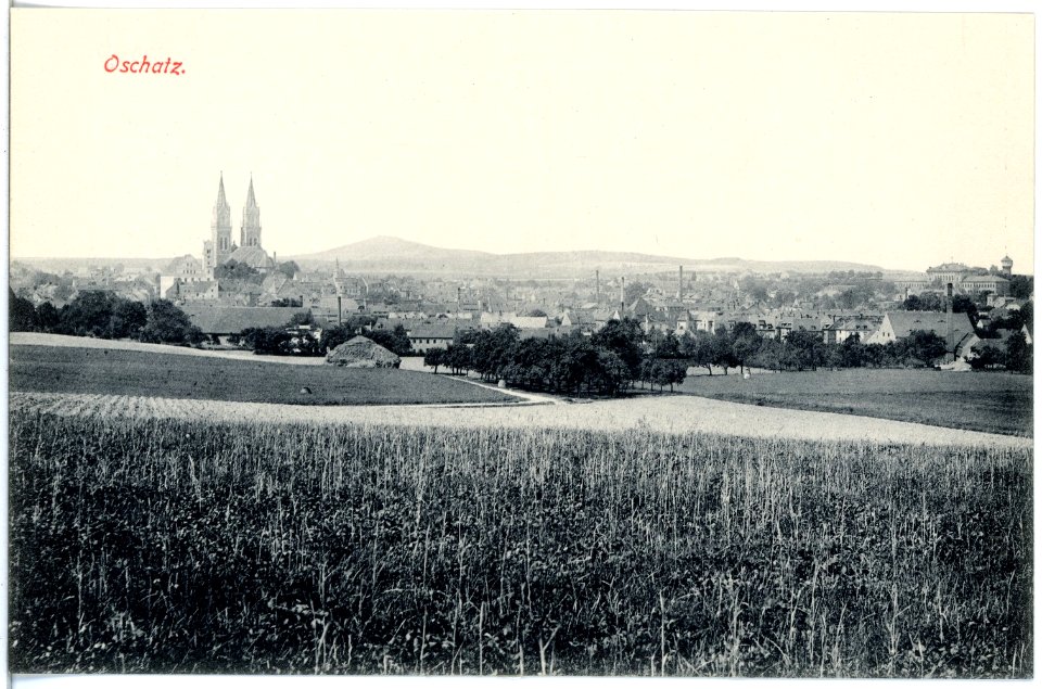 19275-Oschatz-1915-Blick auf Oschatz-Brück & Sohn Kunstverlag