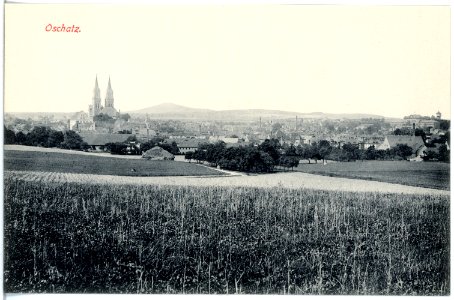 19275-Oschatz-1915-Blick auf Oschatz-Brück & Sohn Kunstverlag