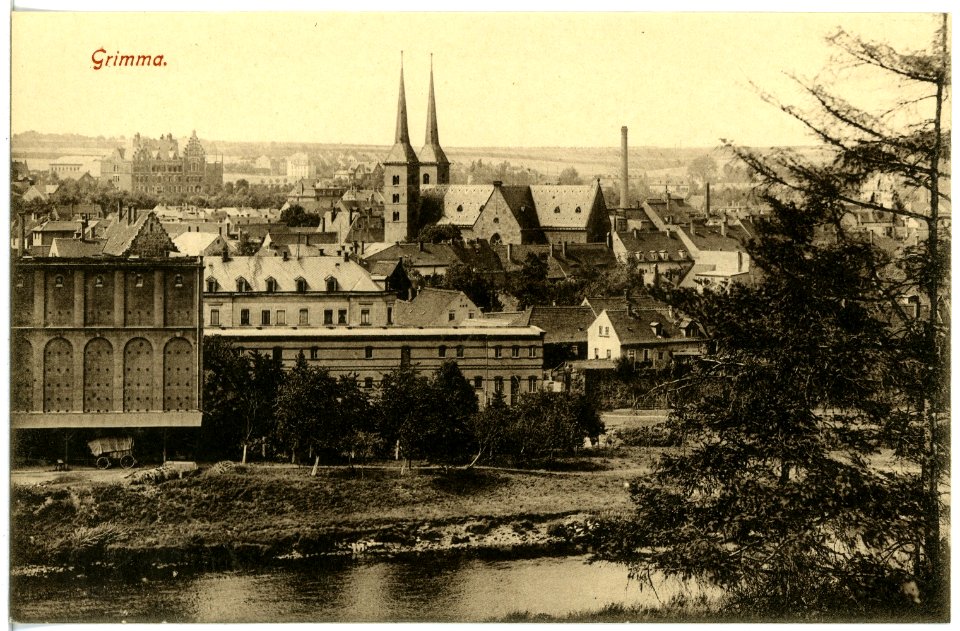 19339-Grimma-1915-Blick auf Grimma-Brück & Sohn Kunstverlag