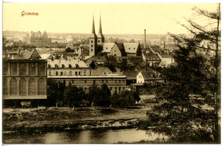 19339-Grimma-1915-Blick auf Grimma-Brück & Sohn Kunstverlag