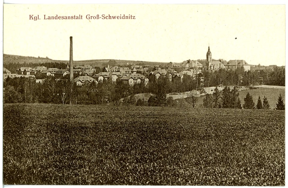 20488-Großschweidnitz-1917-Landesanstalt-Brück & Sohn Kunstverlag