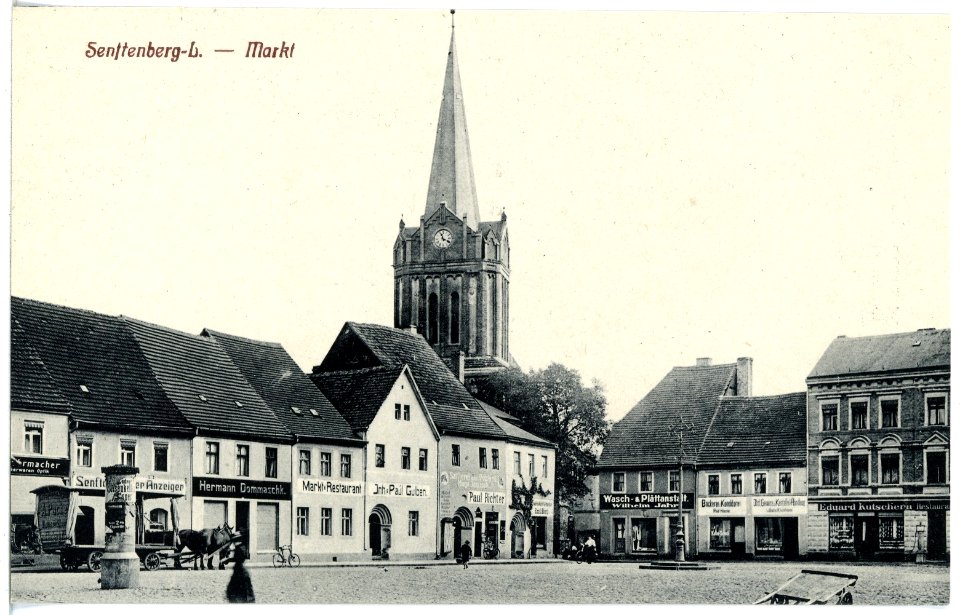19758-Senftenberg-1915-Markt-Brück & Sohn Kunstverlag