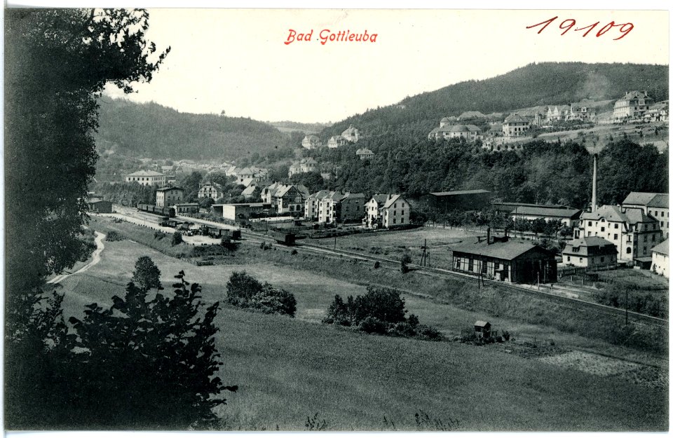 19109-Gottleuba-1915-Blick auf Bad Gottleuba-Brück & Sohn Kunstverlag