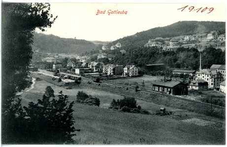19109-Gottleuba-1915-Blick auf Bad Gottleuba-Brück & Sohn Kunstverlag