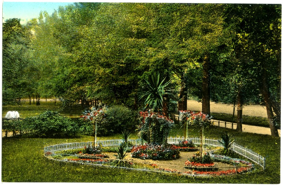 19378-Grimma-1915-Schwanenteich - Anlagen-Brück & Sohn Kunstverlag