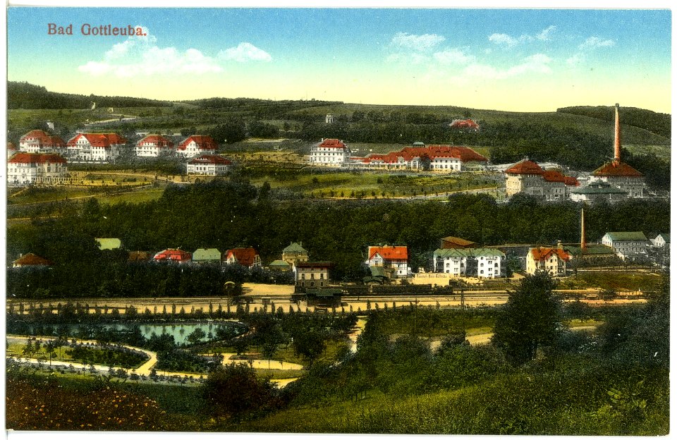 19542-Bad Gottleuba-1915-Blick auf Bad Gottleuba-Brück & Sohn Kunstverlag