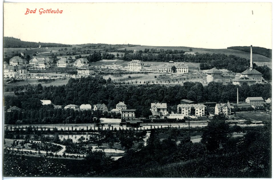 19116-Gottleuba-1915-Blick auf Bad Gottleuba-Brück & Sohn Kunstverlag