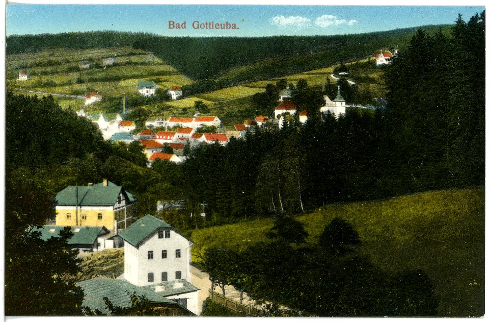 19540-Bad Gottleuba-1915-Blick auf Bad Gottleuba-Brück & Sohn Kunstverlag