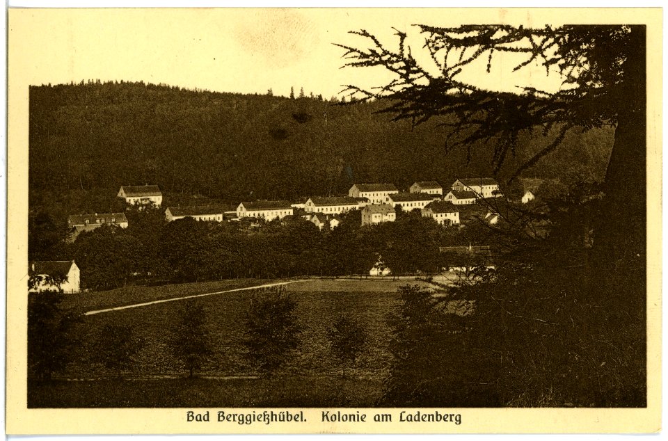 19612-Berggießhübel-1915-Kolonie am Ladenberg-Brück & Sohn Kunstverlag