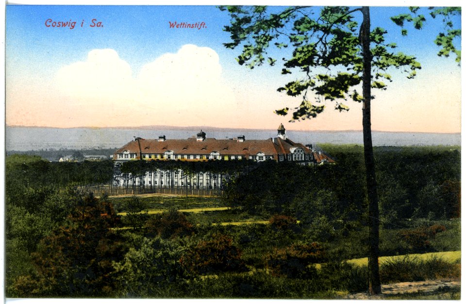 19375-Coswig-1915-Wettinstift-Brück & Sohn Kunstverlag