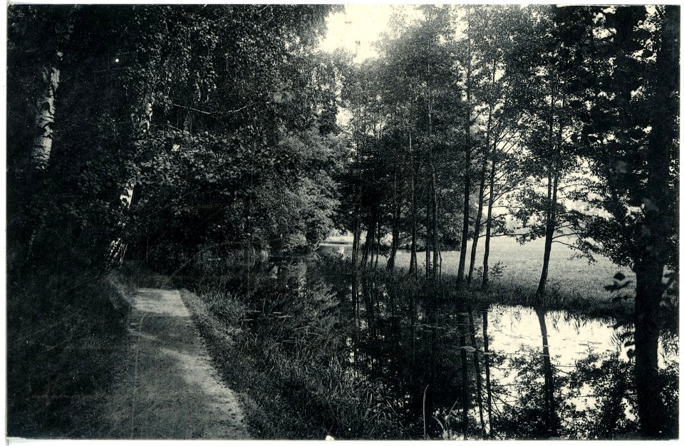 19746-Senftenberg-1915-Partie am Schloßwall-Brück & Sohn Kunstverlag