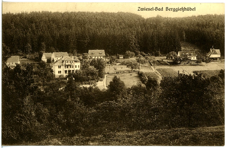 19614-Berggießhübel-1915-Zwiesel-Brück & Sohn Kunstverlag