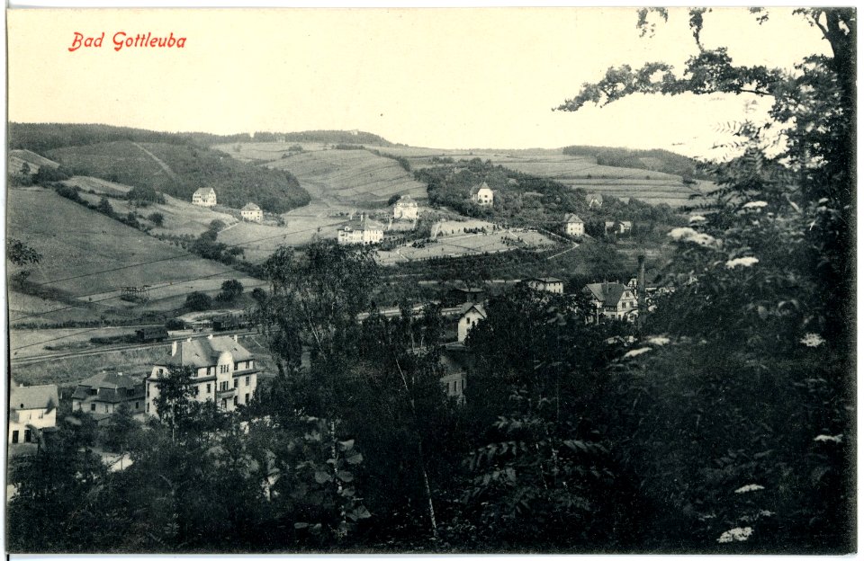 19112-Gottleuba-1915-Blick auf Bad Gottleuba-Brück & Sohn Kunstverlag