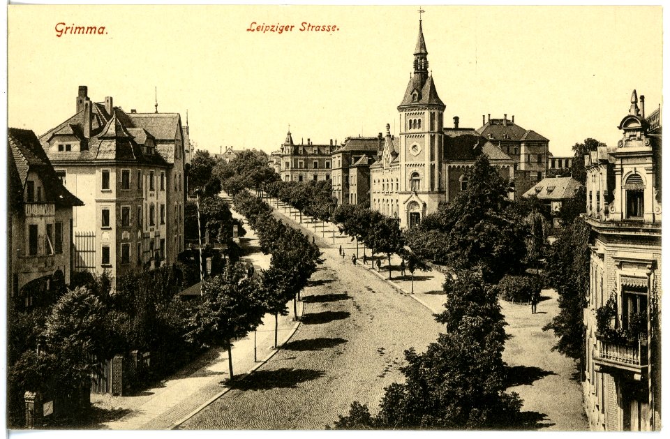 19347-Grimma-1915-Leipziger Straße-Brück & Sohn Kunstverlag