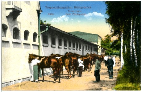 19638-Königsbrück-1915-Neues Lager - Beim Pferdeputzen-Brück & Sohn Kunstverlag