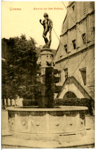 19497-Grimma-1915-Brunnen vor dem Rathaus-Brück & Sohn Kunstverlag