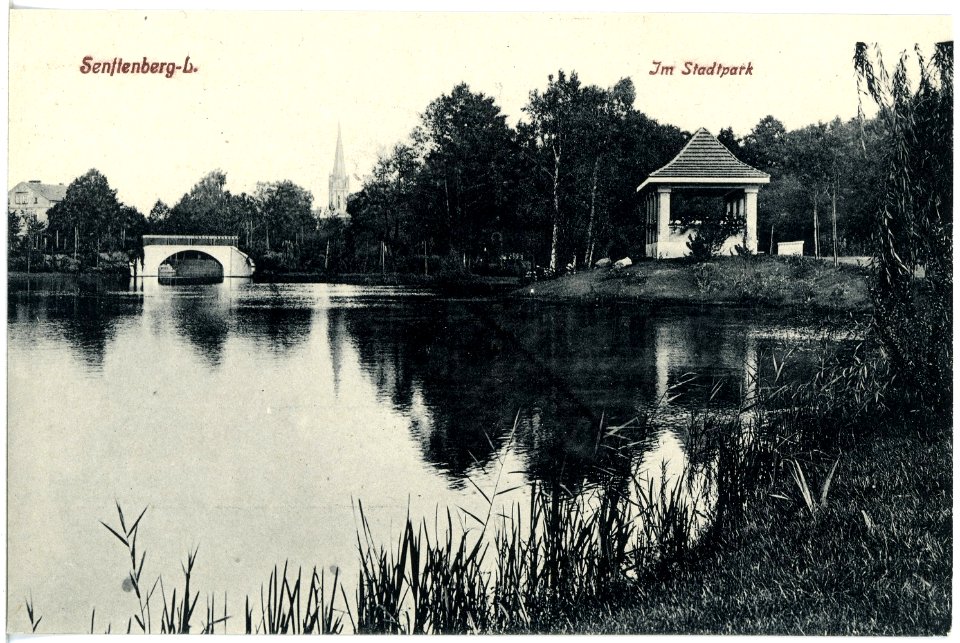 19745-Senftenberg-1915-Im Stadtpark-Brück & Sohn Kunstverlag