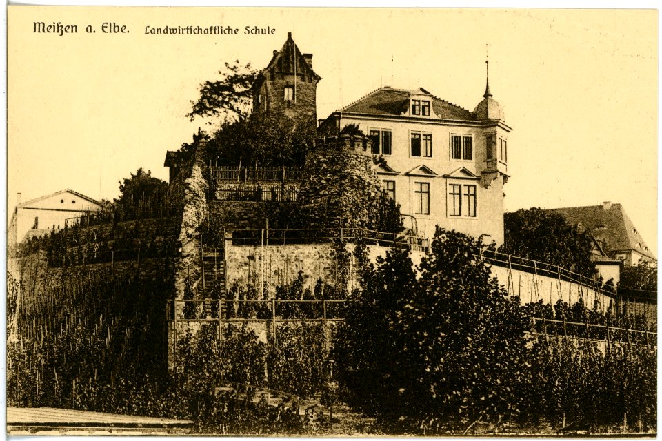 19655-Meißen-1915-Landwirtschaftliche Schule (Domherrenhof)-Brück & Sohn Kunstverlag