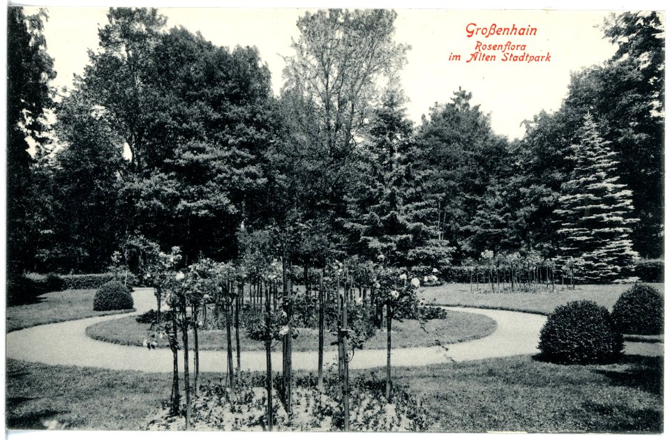 19146-Großenhain-1915-Rosenflora im alten Stadtpark-Brück & Sohn Kunstverlag