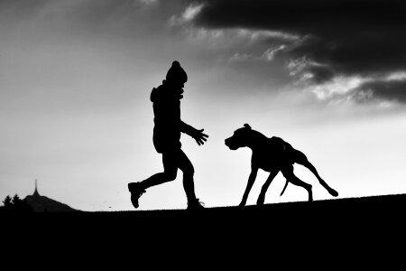 Silhouette man and dog Free photos