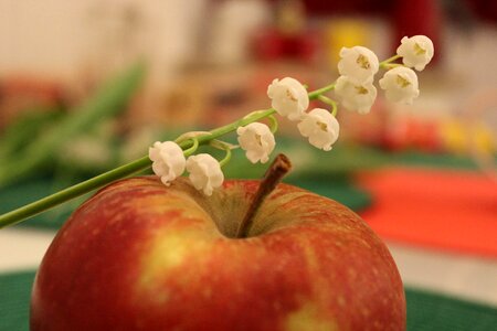 Fruit spring handsomely