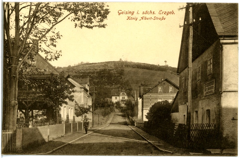 19024-Geising-1915-König-Albert-Straße-Brück & Sohn Kunstverlag