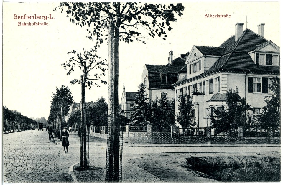 19755-Senftenberg-1915-Bahnhofstraße und Albertstraße-Brück & Sohn Kunstverlag