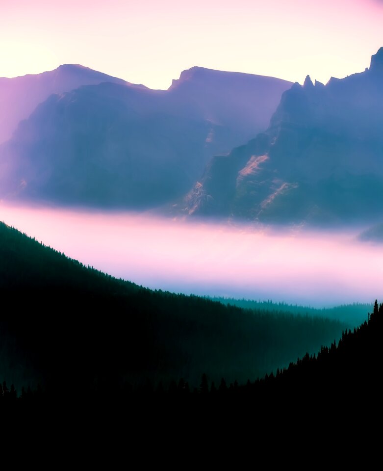 Mountains valley forest