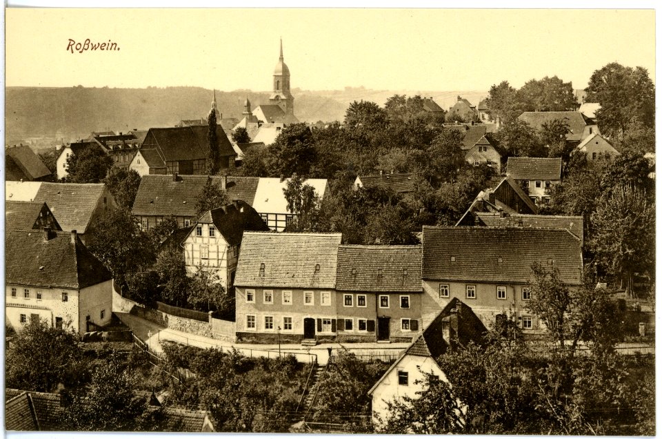 19808-Roßwein-1915-Blick auf Roßwein-Brück & Sohn Kunstverlag