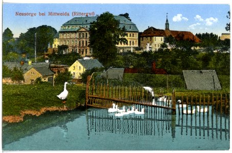 21817-Neusorge-1921-Rittergut Neusorge-Brück & Sohn Kunstverlag