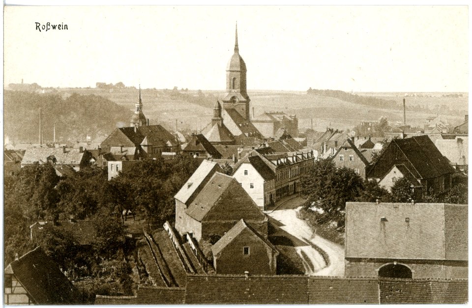 19805-Roßwein-1915-Blick auf Roßwein-Brück & Sohn Kunstverlag