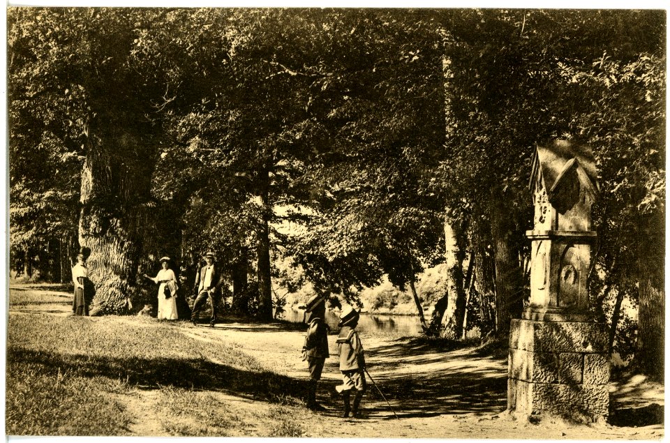 19413-Lichtenwalde-1915-Harraseiche und Denkmal-Brück & Sohn Kunstverlag