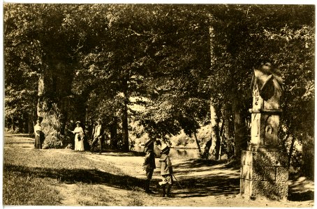 19413-Lichtenwalde-1915-Harraseiche und Denkmal-Brück & Sohn Kunstverlag