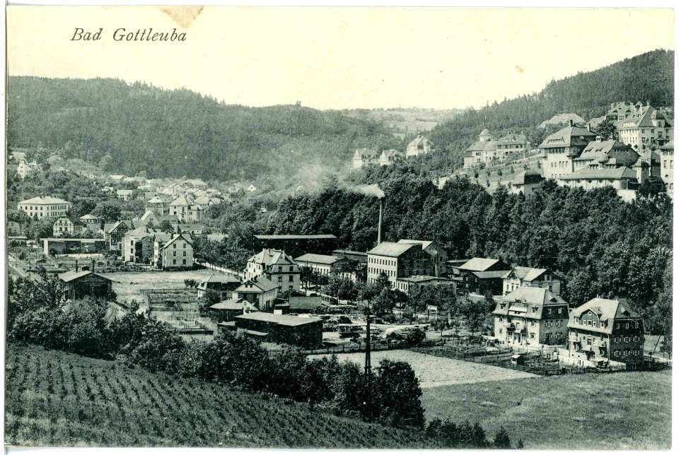 19111-Gottleuba-1915-Blick auf Bad Gottleuba-Brück & Sohn Kunstverlag