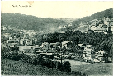 19111-Gottleuba-1915-Blick auf Bad Gottleuba-Brück & Sohn Kunstverlag