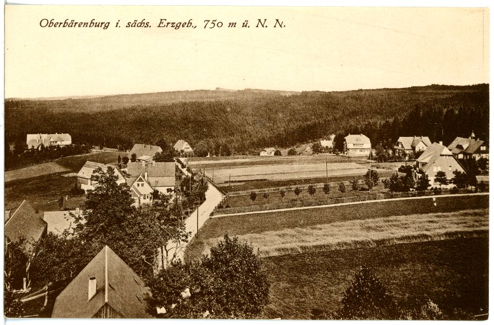 21437-Oberbärenburg-1920-Blick auf Oberbärenburg-Brück & Sohn Kunstverlag
