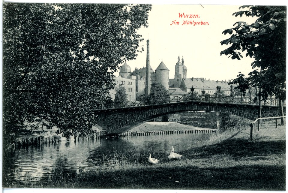 19241-Wurzen-1915-Blick über den Mühlgraben auf Wurzen-Brück & Sohn Kunstverlag