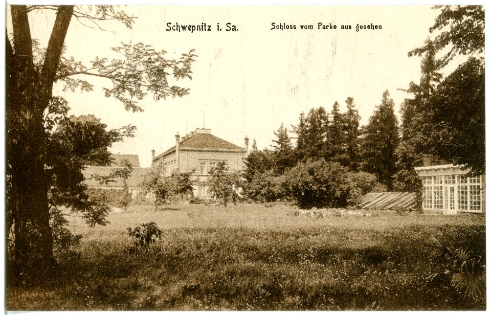 19584-Schwepnitz-1915-Schloß vom Park aus gesehen-Brück & Sohn Kunstverlag