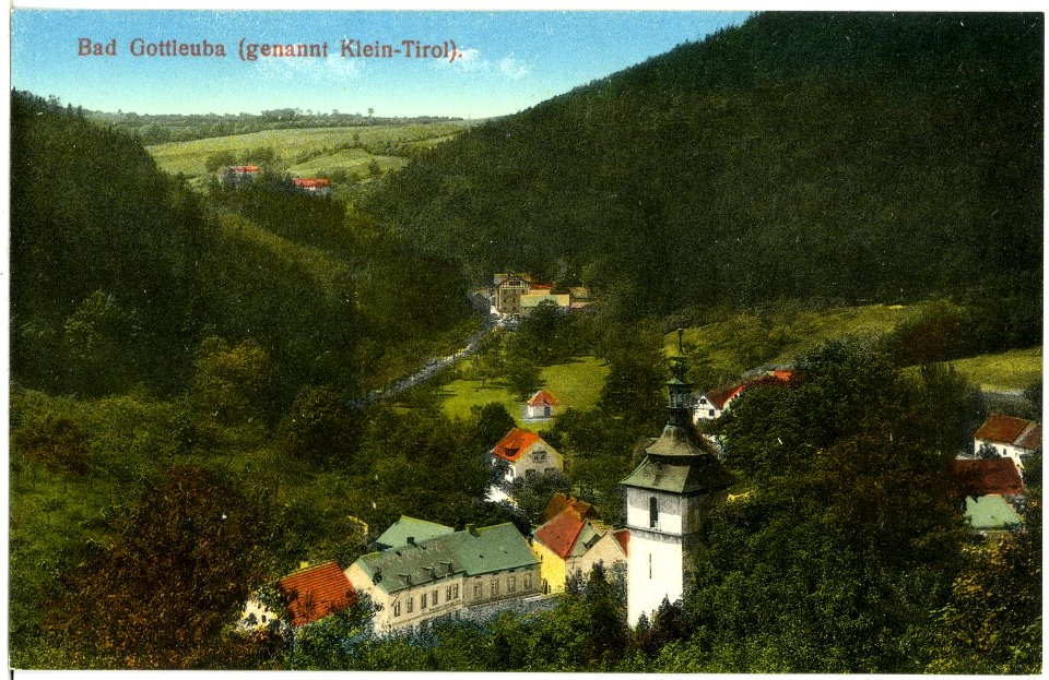 19536-Bad Gottleuba-1915-Blick auf Bad Gottleuba-Brück & Sohn Kunstverlag