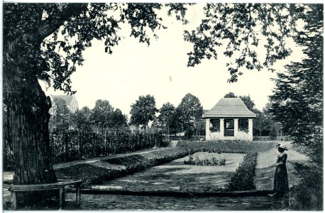 19747-Senftenberg-1915-Im Stadtpark-Brück & Sohn Kunstverlag