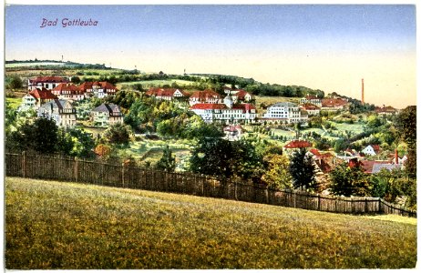 21501-Bad Gottleuba-1920-Blick auf Bad Gottleuba-Brück & Sohn Kunstverlag