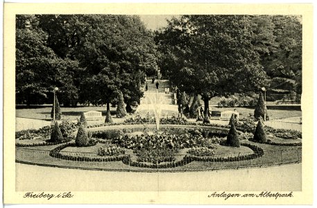 21487-Freiberg-1920-Albertpark-Brück & Sohn Kunstverlag