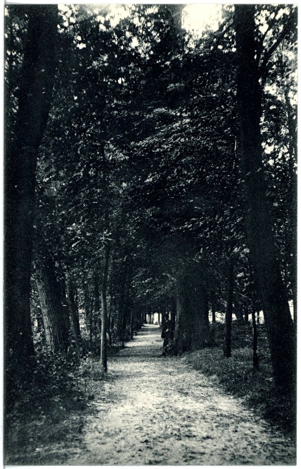 19463-Belgern-1915-Promenadenweg-Brück & Sohn Kunstverlag