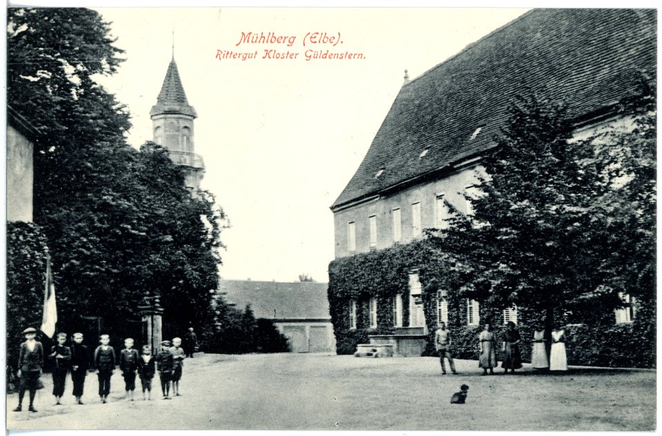 19632-Mühlberg-1915-Rittergut Kloster Güldenstern-Brück & Sohn Kunstverlag