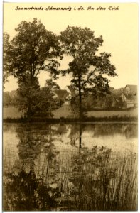 21517-Schmannewitz-1920-Am alten Teich-Brück & Sohn Kunstverlag