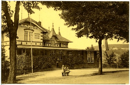 19573-Frankenberg-1915-Restaurant Tirol-Brück & Sohn Kunstverlag