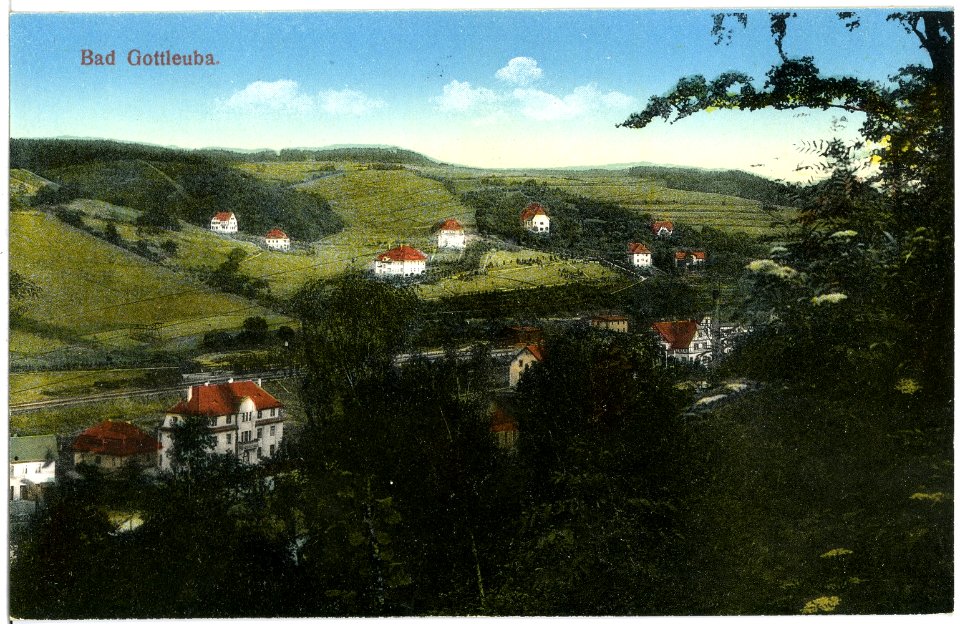 19539-Bad Gottleuba-1915-Blick auf Bad Gottleuba-Brück & Sohn Kunstverlag